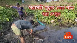 live fising video village pond 🐟 Faruk 24 is live!