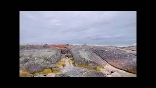 Tasmania Australia Redbill Beach