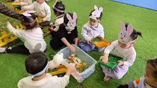 Hoạt động: Nhận biết con thỏ - nhóm trẻ D2
