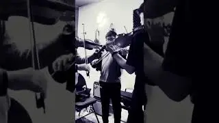 Suzuki Violin Ensemble               小提琴     ویولن     کمان