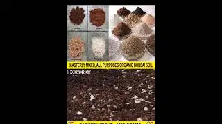 Masterly Mix Soil Mixture