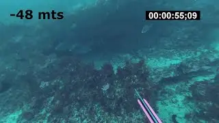 mero en - 48 mts y abadejo en  -35 mts del pescador Daniel Duran del equipo Cressi