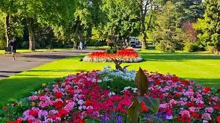 Spring,UK🇬🇧 Flowers in the Park Cannon Hill Park Birmingham/Spring Flowers
