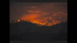 !!!Relaxation Nature Sounds in the Forest, Relax in Nature, Meditation - Музыка природы !!!