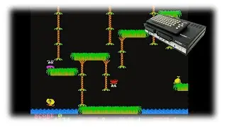 Jungle (KC85/1989) [Retrob&ouml;rsen-Special] /w. MsStandart