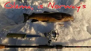 The Best Creek & River Lure for Reaction Strikes! Trophy Trout Fishing.  Winter fishing ...