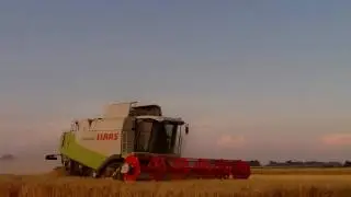 Erntebeginn 2010