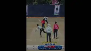 Tennis cricket tournament 2026 #TennisBallCricket #CricketHighlights #viralreels #shorts #cricket