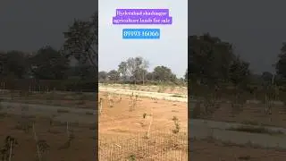 #hyderabad shadnagar agriculture lands for sale #hyderabad farming plots