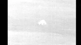Mangy fox with thermal rifle scope
