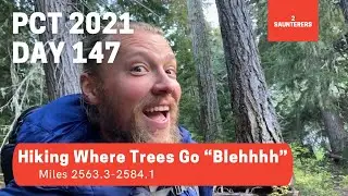 Day 147: Hiking Where Trees Go 