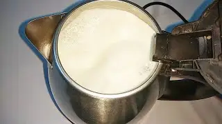 How to boil Milk in Electric kettle | boil Milk in Electric kettle | Pigeon Electric kettle | kettle