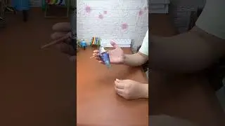 Purple Parrot Tricks | Adorable and Smart Bird Performs Amazing Stunts🦜#cute  #pets #parrots