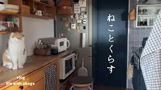 朝ごはんから始まる猫との日常/慌ただしい日々の中の癒しと購入品/niji cafe☕️🍰【猫と暮らしのvlog】