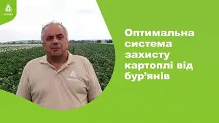 Оптимальна система захисту картоплі від бур&rsquo;янів. #Агроподорож ADAMA.