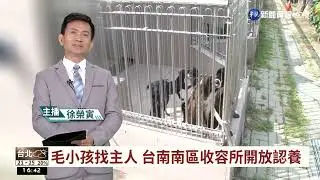 毛小孩找主人 台南南區收容所開放認養｜華視台語新聞 2022.10.27