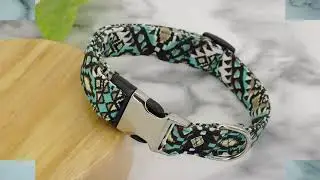 Personalized Dog Collar with Name Plate with Quick Release Buckle