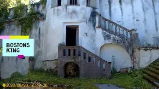 Boston terriers explore abandoned old Castle Bosiljevo Croatia