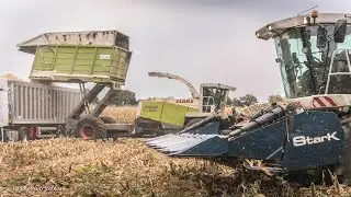 CLAAS Jaguar 900 Green Eye Field Shuttle CSL / CLAAS Jaguar 900 Field Shuttle CHL