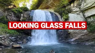 Looking Glass Falls - Pisgah National Forest