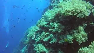 Beautiful Palau
