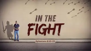 In the Fight