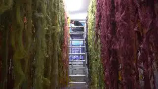 Color Amazonia in Kunstinstituut Melly (f.k.a. Witte de With). Rotterdam,  The Netherlands.