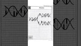 mutation