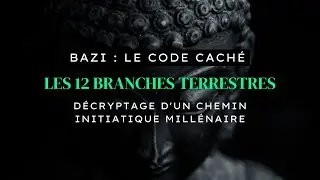 BaZi: Le Code cach&eacute; de ton &eacute;volution spirituelle
