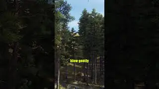 Campfire Fail Survival #survival #funnycamping #hikingfails #campingstory #outdooradventures