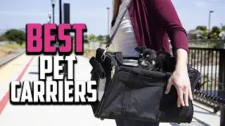 Top 10 Best Pet Carriers and Crates in 2025 Reviews