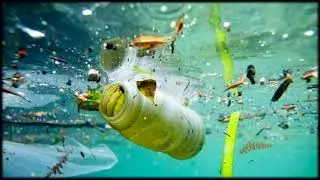 ENVIRONMENTAL PROTECTION AWARENESS