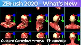 007 Zbrush 2020 Custom Camview Arrows Photoshop