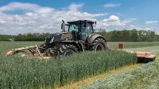 NEW HOLLAND T7.290 HD AC | SIP SILVERCUT Disc 340 F FC and SIP SILVERCUT Disc 900 C FC | Mowing rye