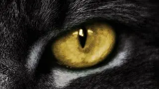 Keiser Twins &ndash; Eddie The Cat (Official Music Video)