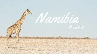 ROAD TRIP NAMIBIA 🦒🐘  [Agosto 2023]