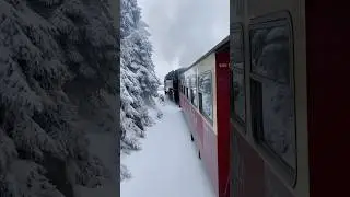 The most beautiful train ride in Germany 🚂 Brockenbahn ❤️ #train #harz #germany #brockenbahn
