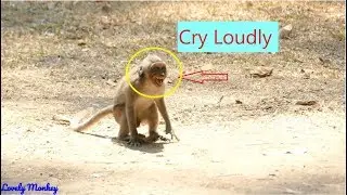 Pitiful Poor Orphan Jessie Cry Very Loudly Cos 0f Popeye & Merry| Thank Dana Quick Help Jessie..