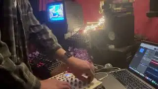 tekno w/ moog labyrinth + LXR-02 + elektron model:samples