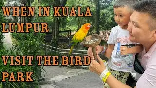 Let's Go Birdwatching in the World's Largest Free-Flight Aviary