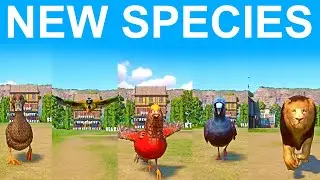 New Species Speed Race in Planet Zoo included Meller's Duck, Choiseul Pigeon