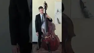 How to Play Grace Notes on the Double Bass (Upright Bass)
