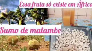 Sumo de Malambe, Veja como é feito o sumo da fruta que só existe em África