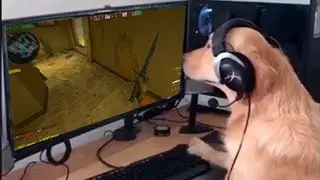 bhop
