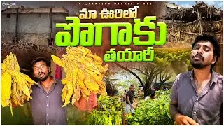 మా ఊరిలో పొగాకు తయారీ || Tobacco Processing
