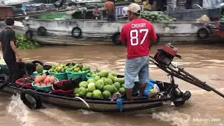 Monoculture and the Global Food System