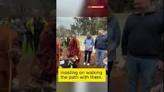 The story of Aloka the Peace Dog