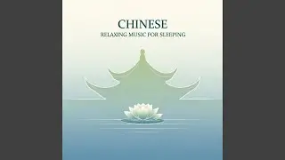Silent Chinese Night