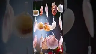From Camera to Final Edit | Seashell Photography #seashell #photogrpahy #f12 #canon85mm