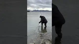 UNUSUAL BAIT? 🎣🐟